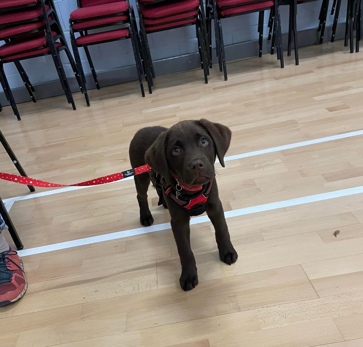 436238313_1059413335754178_3179605244269358888_n