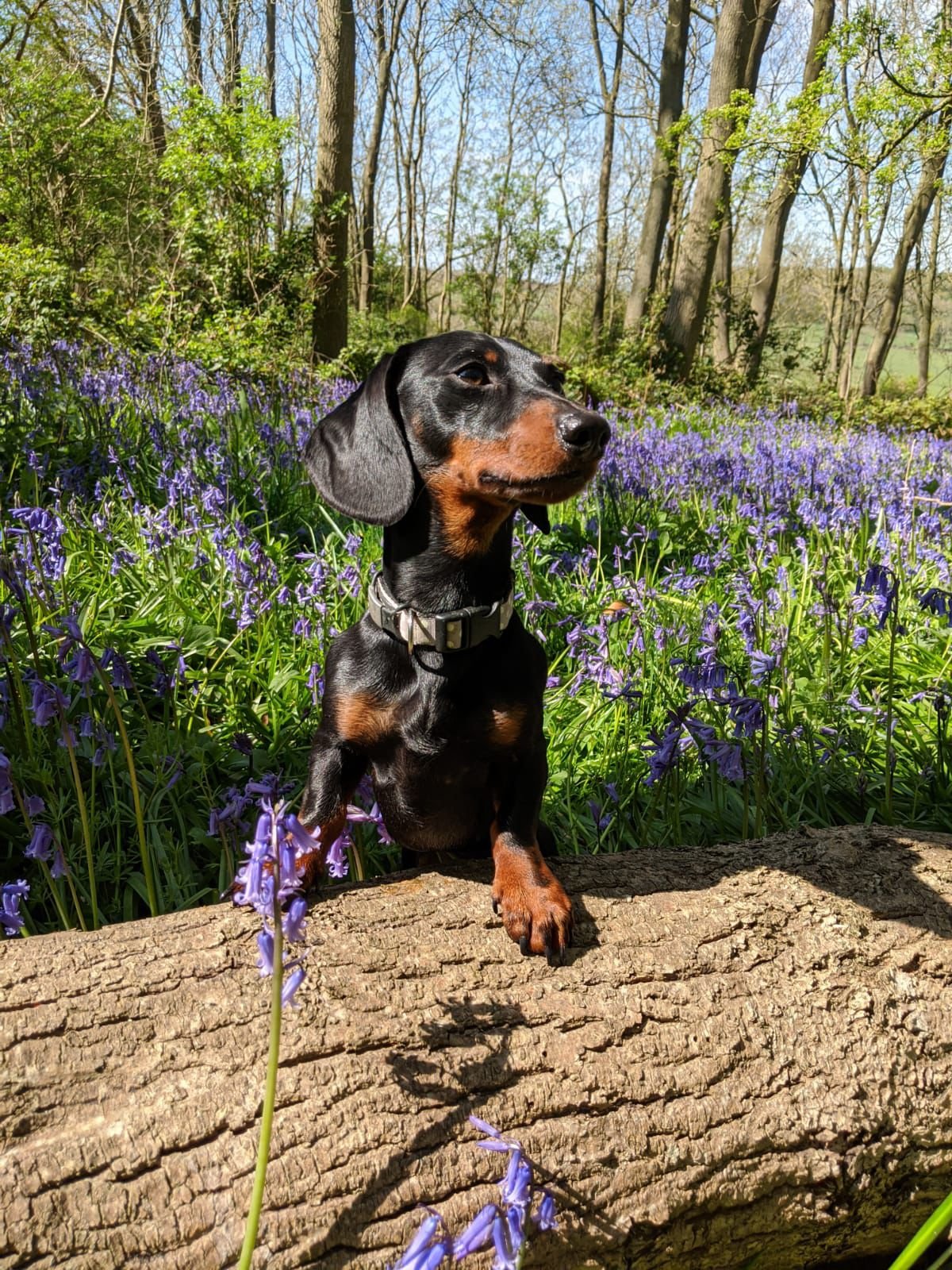 WhatsApp Image 2024-09-09 at 16.50.24