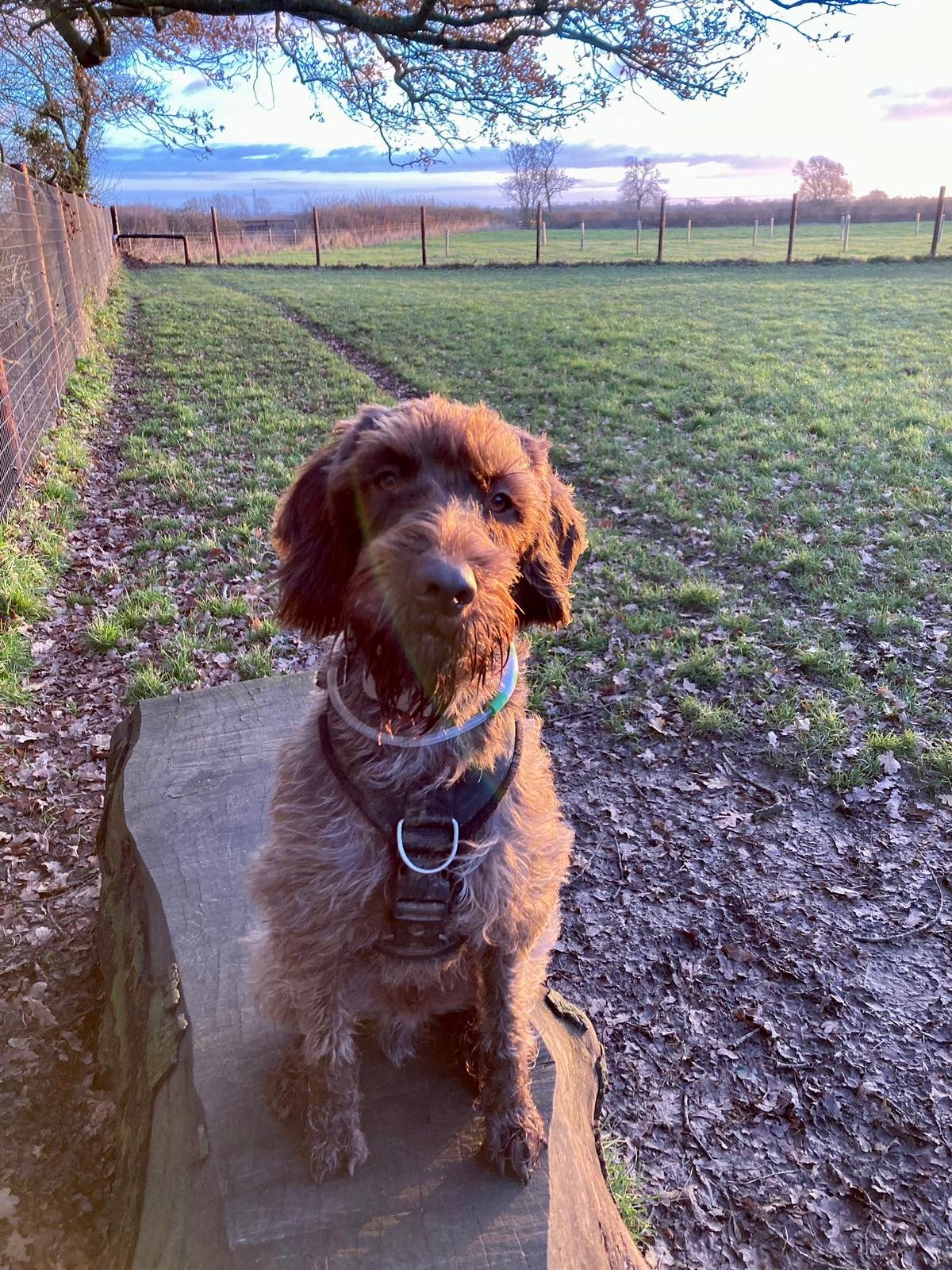 WhatsApp Image 2024-09-09 at 19.24.34