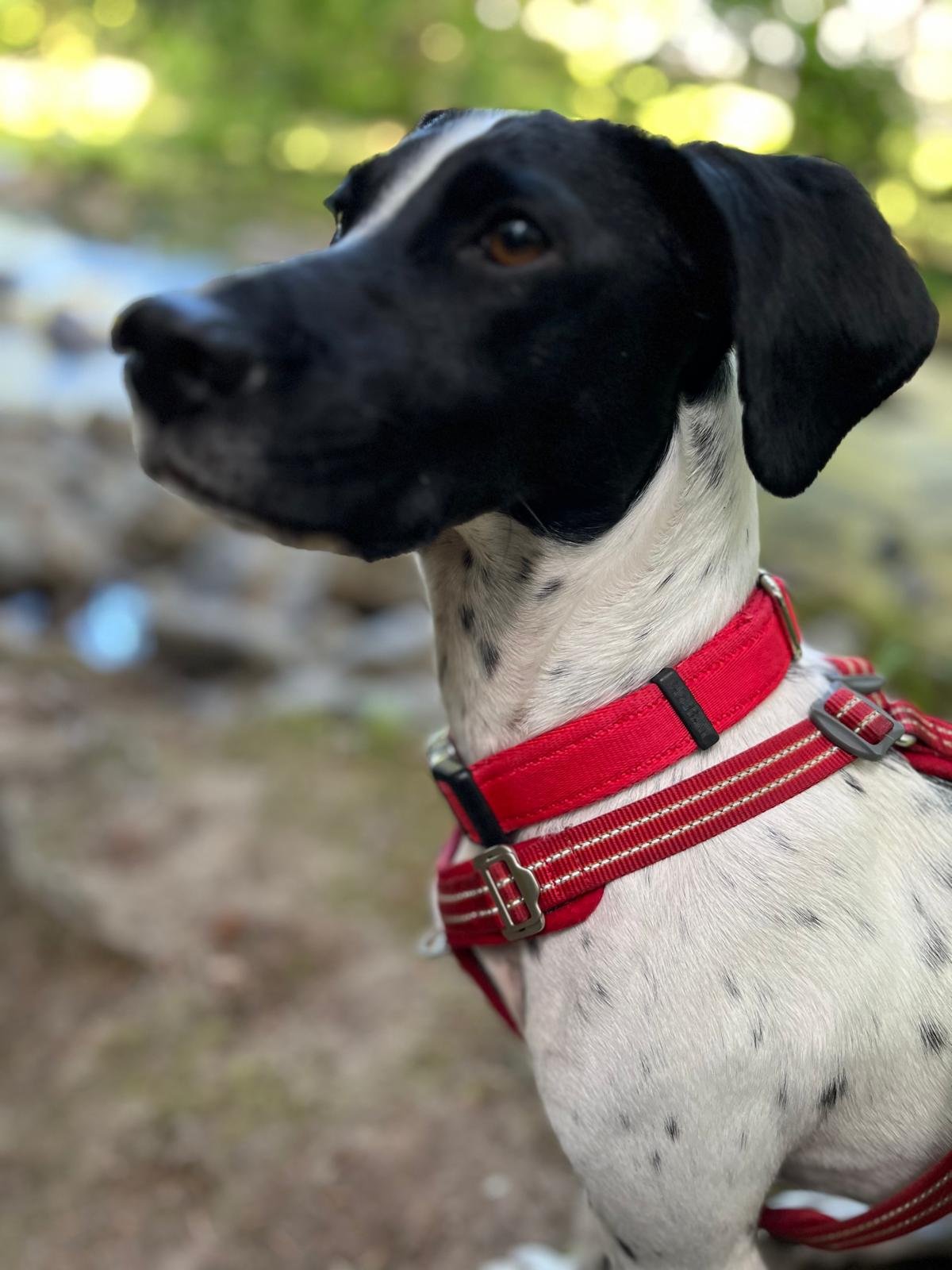 WhatsApp Image 2024-09-09 at 21.56.16