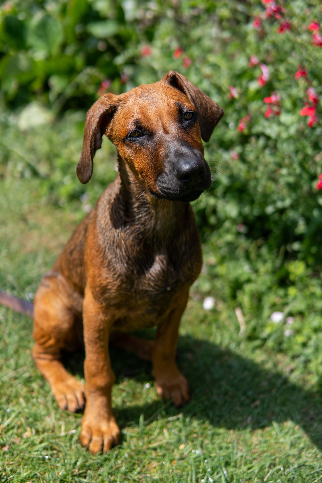 WhatsApp Image 2025-10-03 at 14.10.42