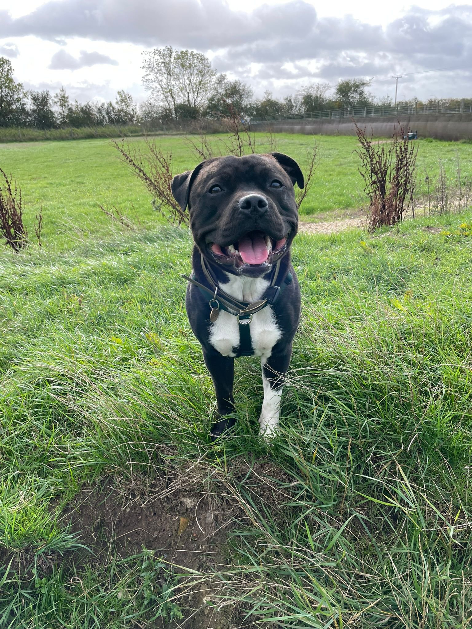 WhatsApp Image 2025-10-12 at 15.22.03