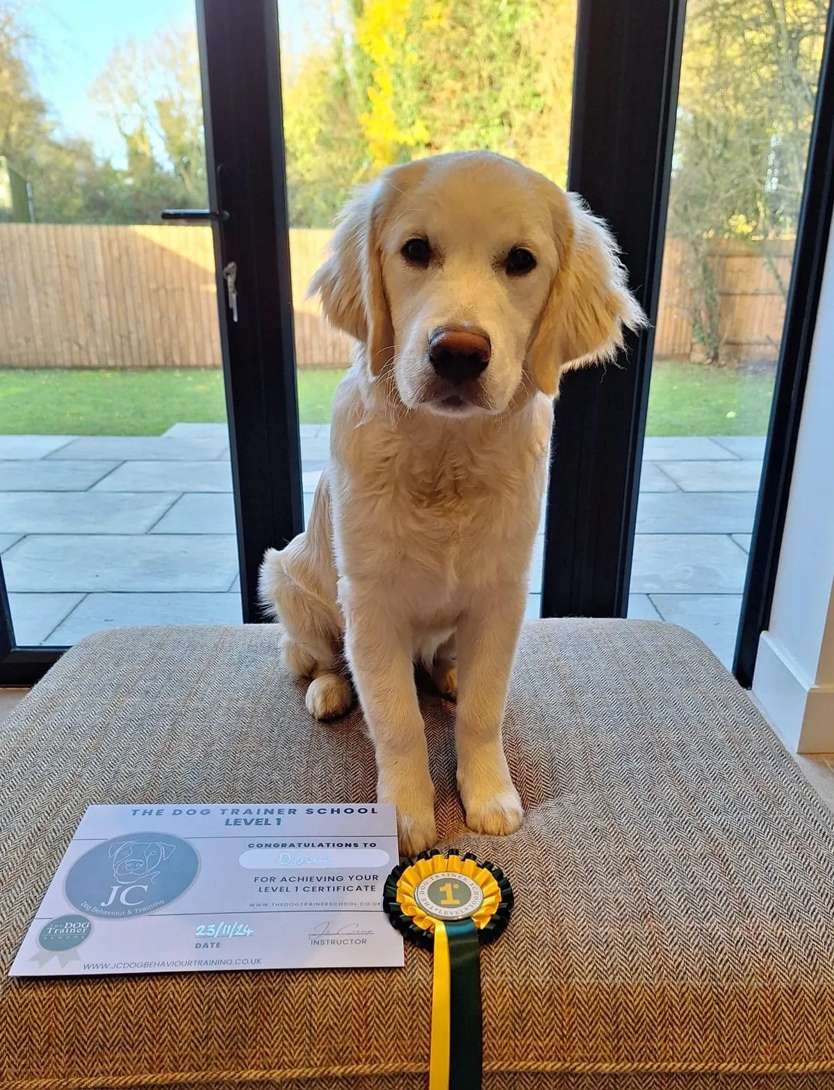 rs=w_1200,cg_true (1)