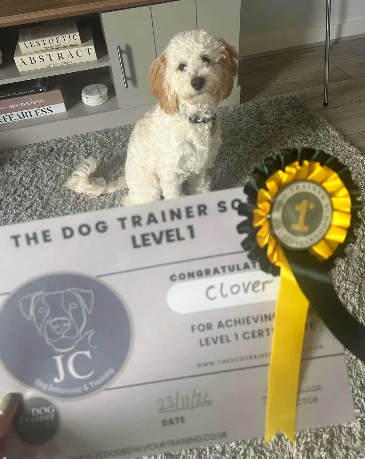 rs=w_1200,cg_true (2)