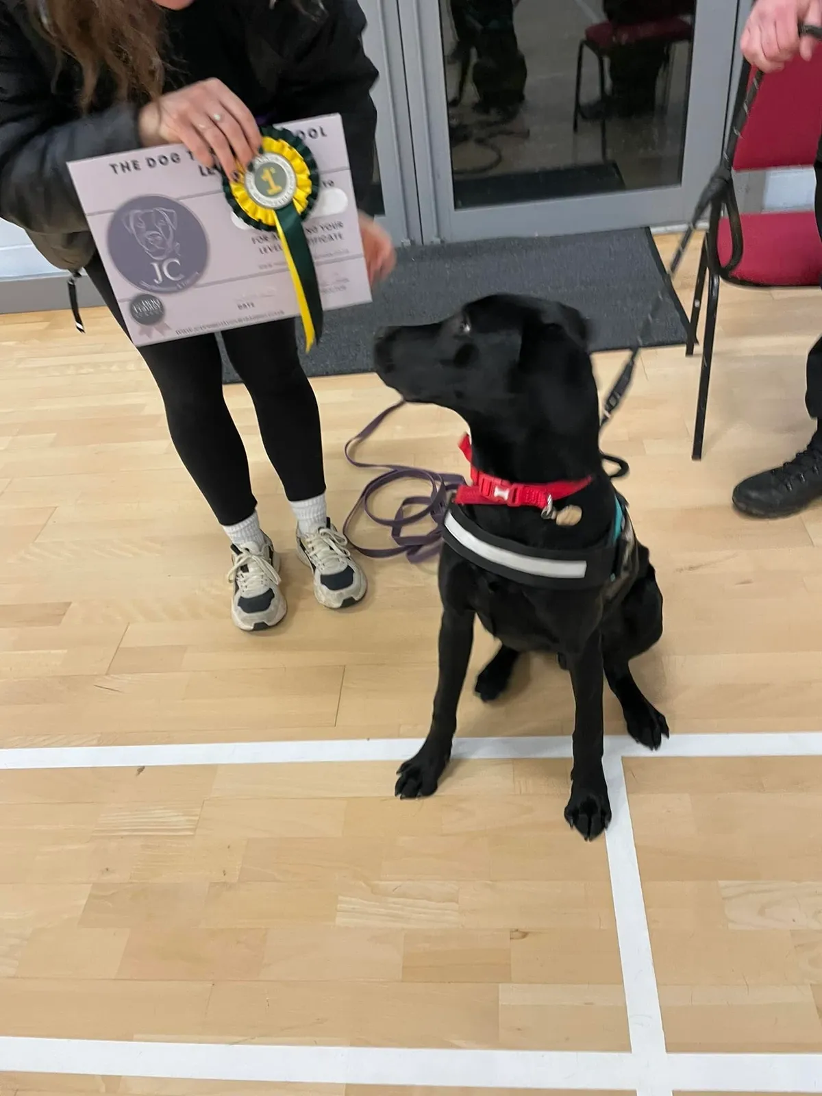 rs=w_1200,cg_true,m (2)