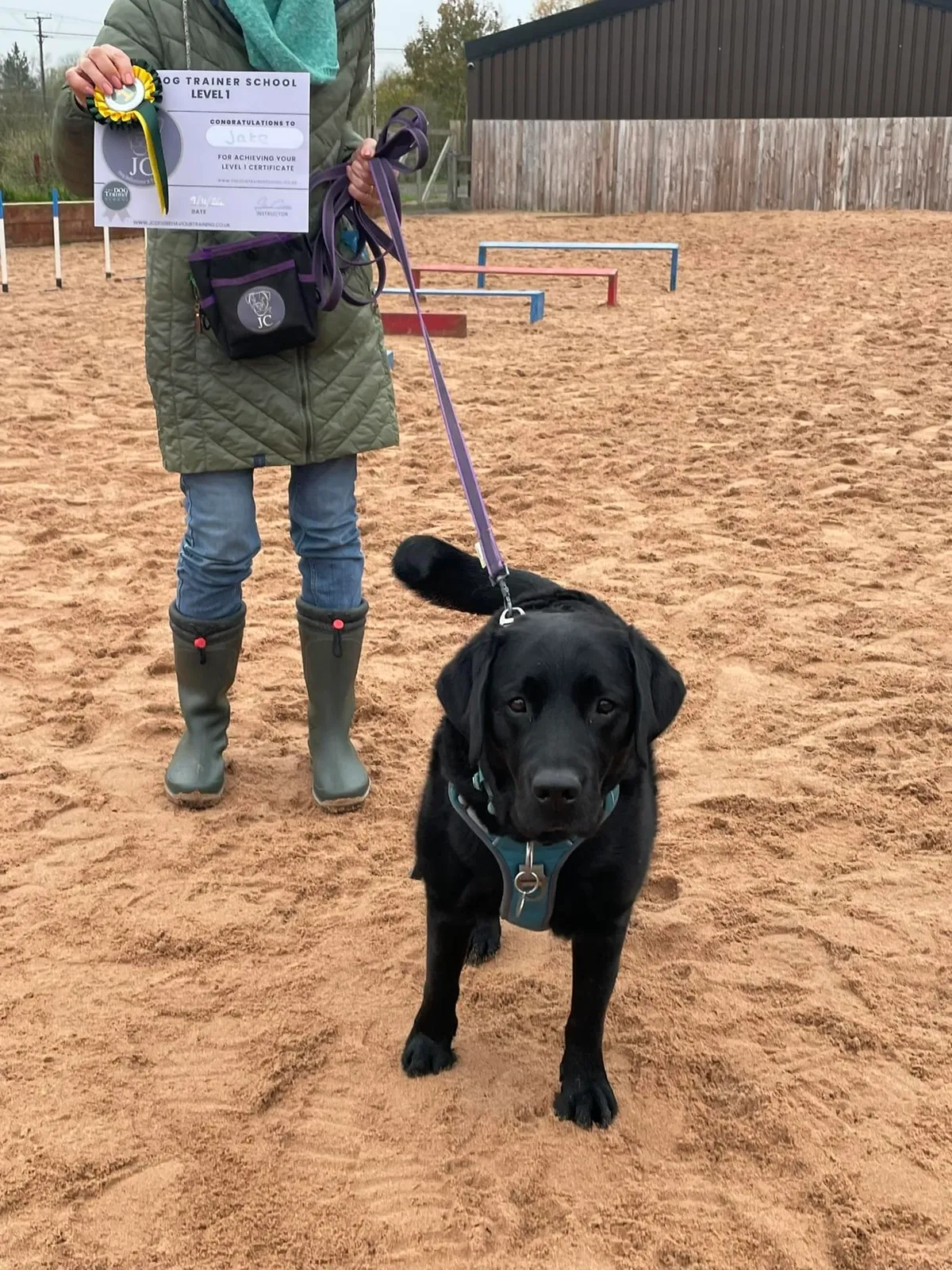 rs=w_1200,cg_true,m (4)