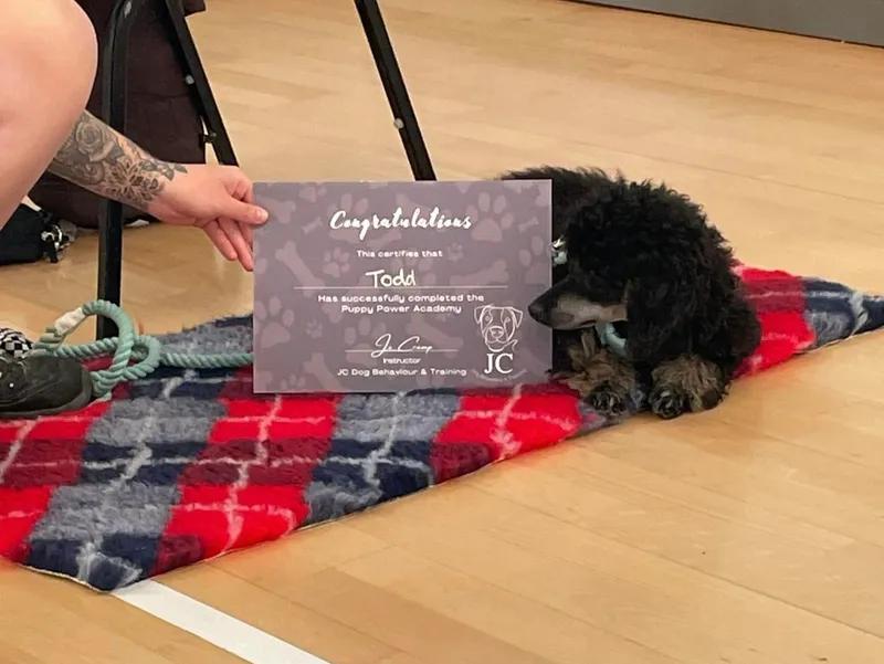 rs=w_800,h_602,cg_true (4)